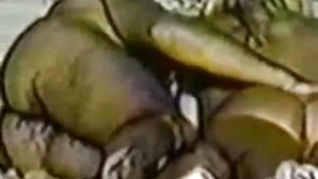 A nő harisnya ült a kakas, anélkül, hogy levette porno video ingyenes a bugyiját